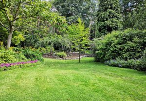 Optimiser l'expérience du jardin à Chatillon-sur-Indre